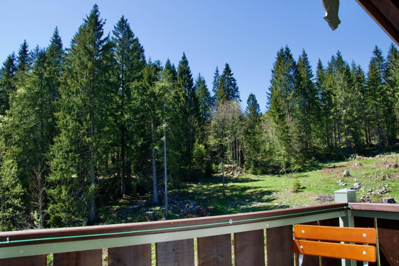 Spitzing Lodge Ferienwohnungen - Wanderparadies In Den Bergen Spitzingsee Kültér fotó